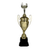 Trofeo de Copa de Metal con Figura Serie M1